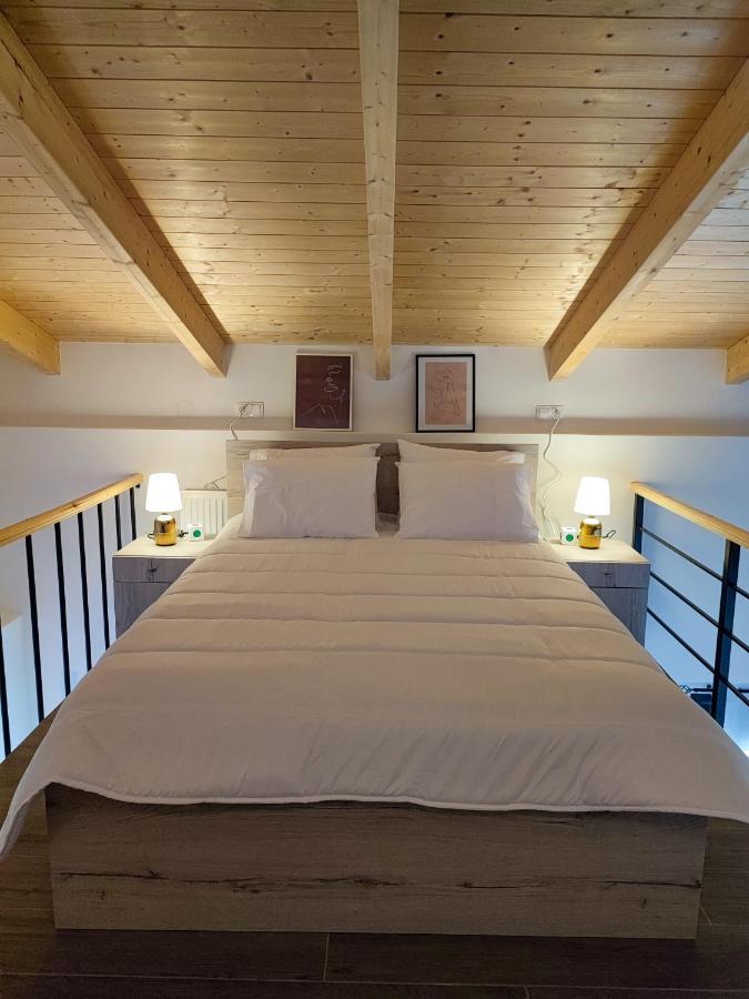 Freesia Loft Apartment Ioannina Bagian luar foto